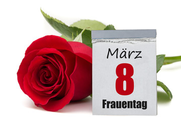Frauentag 8.März / Kalender mit roter Rose