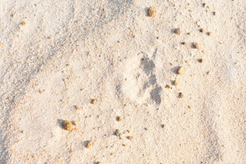 The white sand has a gravel grain mixed with moderation.