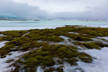 Fototapeta premium Isländische Winterlandschaft mit Bergen, See und Moos