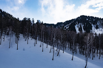 winter in the mountains