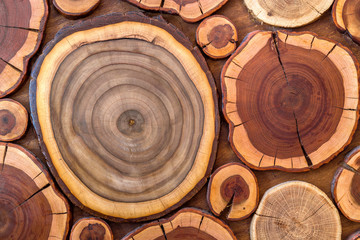 Round wooden unpainted solid natural ecological soft colored brown and yellow crackled stumps...