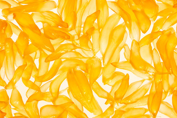 Pomelo Fruit Juicy Vesicles Background. Pomelo fruit macro photography. Vesicle, Juice Sacs, Citrus Carpels on White Shining Through