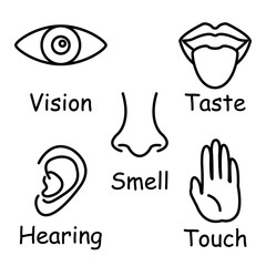 Five sense icon set. vector.