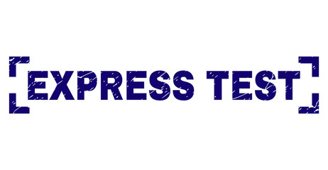 EXPRESS TEST text seal stamp with distress texture. Text tag is placed inside corners. Blue vector rubber print of EXPRESS TEST with grunge texture.
