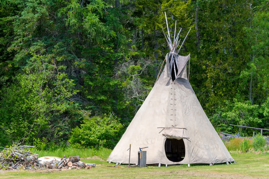 A teepee tent. The tent is in a field with trees behind it. The flap on the front is open.