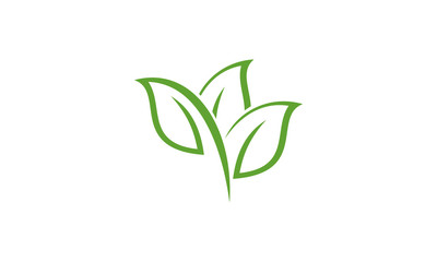 nature green leaf icon