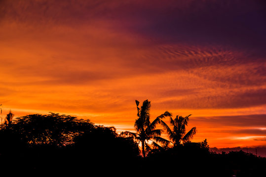 Palm tree silhouette with golden hours sky sunset high resolution image
