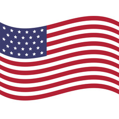 USA  flag vector illustration.