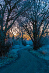 A path in the early winter morning during sunrise