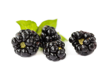 A group of juicy blackberries on white background