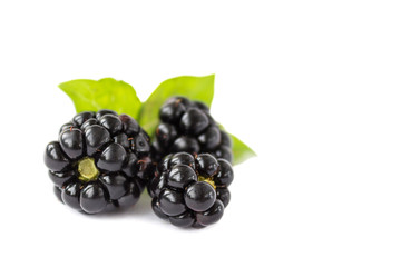A group of juicy blackberries with green leaf on white background