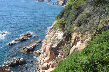 coast of the sea