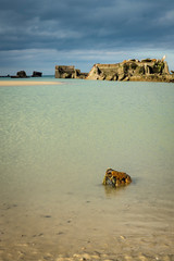 the normandy beaches in france showing ruins and relics from world war II on golden sands and dark...