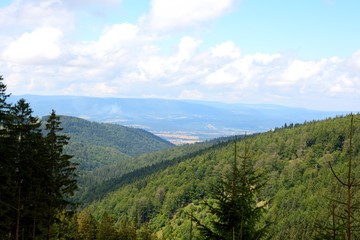 Fototapeta na wymiar view of green mountains and sky