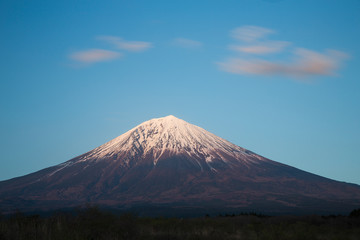 Mount Fuji Rural Perspective
