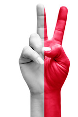 and making victory sign, Indonesia painted with flag as symbol of victory, win, success - isolated on white background