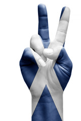and making victory sign, Scotland painted with flag as symbol of victory, win, success - isolated on white background