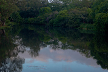 Fototapeta na wymiar Lago, Parque do Ibirapuera