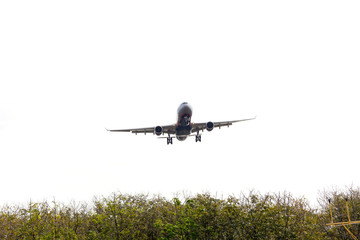Fototapeta na wymiar Passenger airplane flying over rubber trees garden on white background