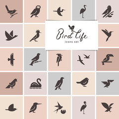 Birds icon set. Logotype or brand for company. Web site isolated icon set.