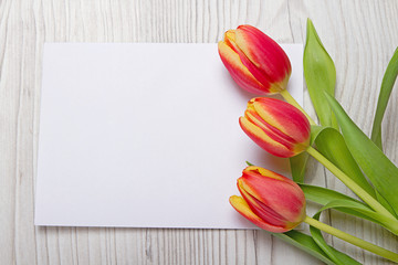 Tulpen mit Karte und freiem Textfeld