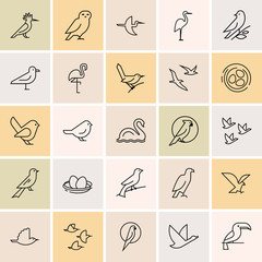 Isolated items birds icon set in line style. Birds icon set in gray color. Perfect for illustration, decoration and print. © Liudmyla Klymenko