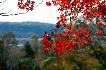 奥卯辰山県民公園