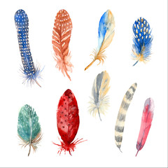 Set of colorful graphic bird feathers. Watercolor Illustration.