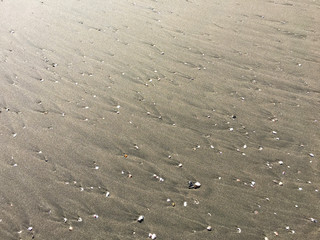 sandy beach