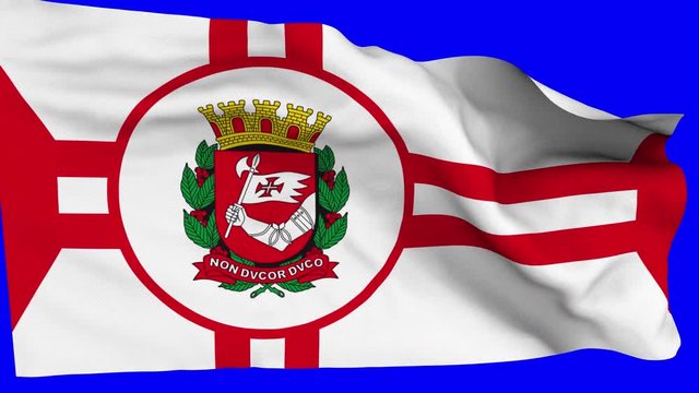 Bandeira Cidade de S&atilde;o Paulo