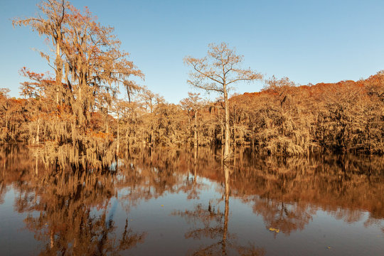 Caddo Lake State Park