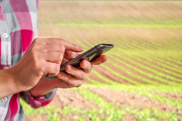 Smart farming with IoT, futuristic agriculture concept, cultivating ecological agricultural using innovative technologies