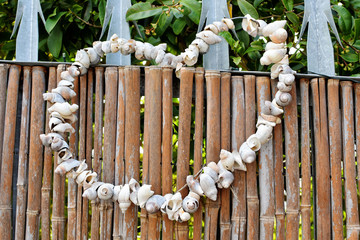 Muschelkette in Herzform © frangipani.s