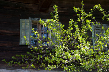 fenster
