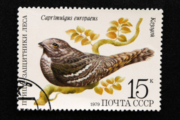 .The USSR postage stamp, Series - Birds - Demonstrators of the Forest, 1979
