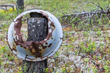 Rusty holey basin hanging on stump in forest.