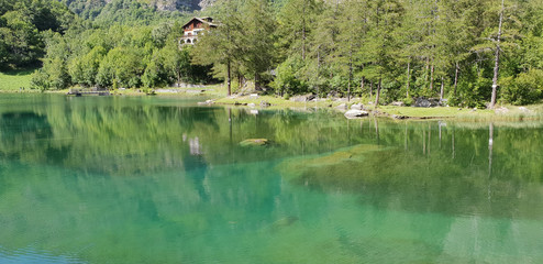 chalets in the woods near beautiful lake