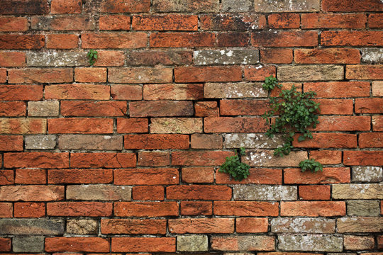 Old brick wall. Background texture.