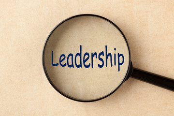 Leadership Magnifier Concept