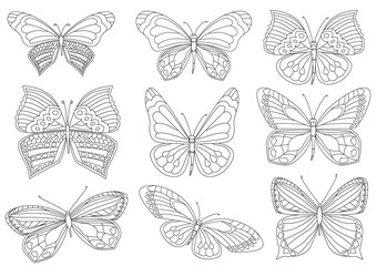 collection of lovely butterflies for your coloring book - 247181273