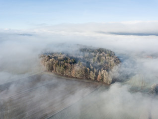 Aerial view of forest in form of a heart underneath fog. Cold winter morning in Switzerland.