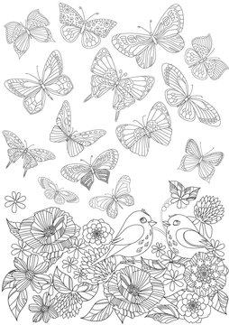 flying butterflies above blossom garden for your coloring page