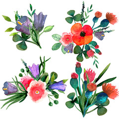 Wild flower compositions. 4 isolated hand drawn compositions in watercolors.  