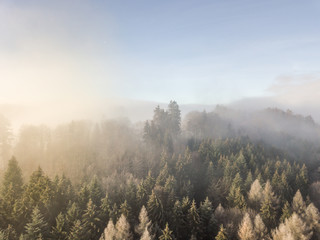 Aerial view of forest underneath fog. Cold winter morning in Switzerland.