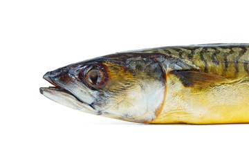Smocked Mackerel fish close-up. Isolated on white background