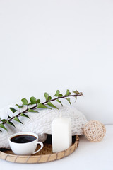 interior decor in a minimalist style, ideas. glass vase and green plant in a bright room