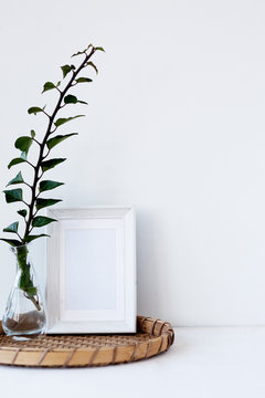interior decor in a minimalist style, ideas. glass vase and green plant in a bright room