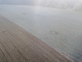 Aerial view of agricultural field covered with hoarfrost on cold winter morning.