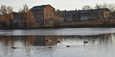 Lake on the background of old houses.