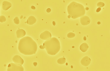 cheese slice template